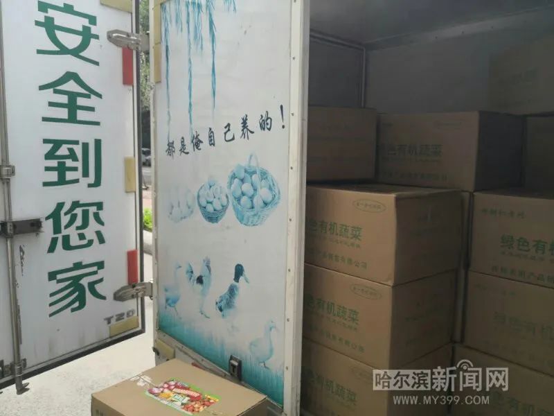 桦树村的菜熟了|村里建起配送车队,乡亲们有了产业