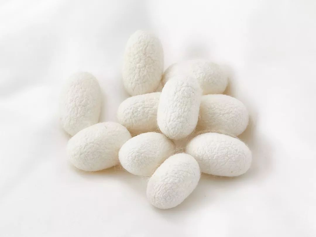 桑蚕丝冬暖夏凉,蚕丝夏日睡衣