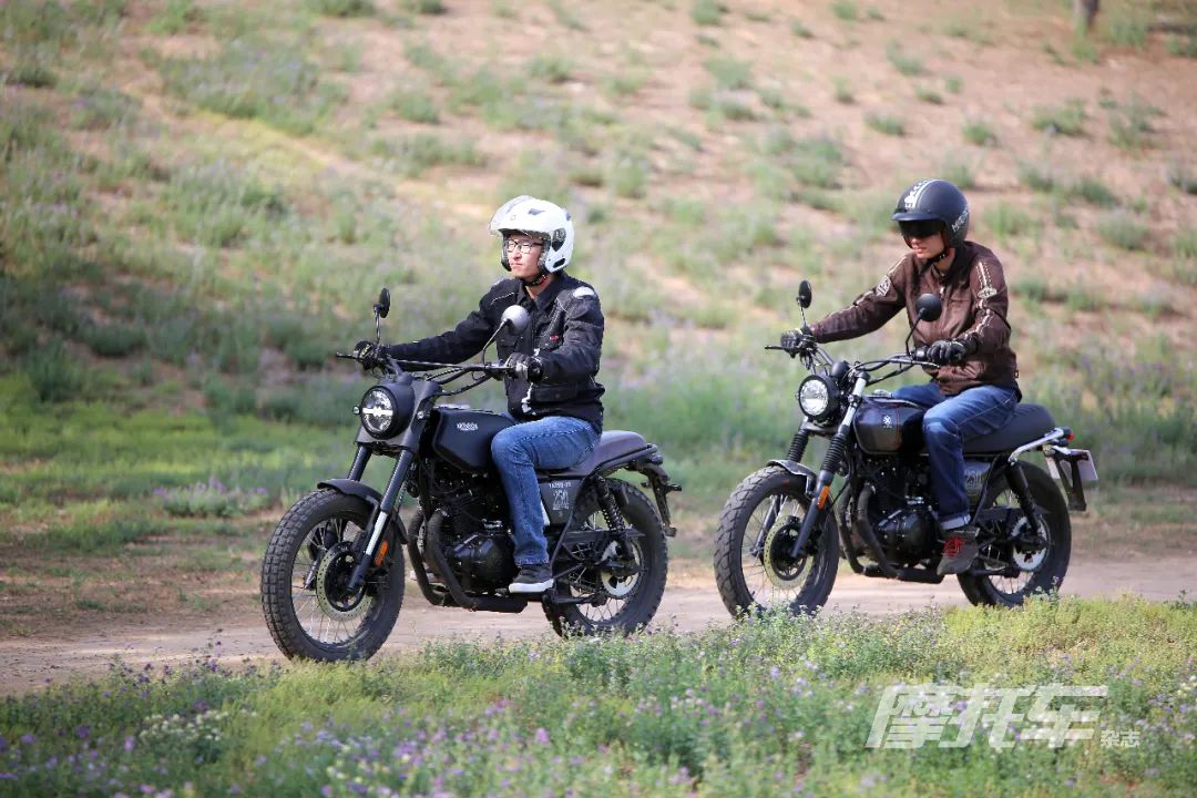 新款布雷斯通蓝卡评测,布雷斯通蓝卡22款和23款区别