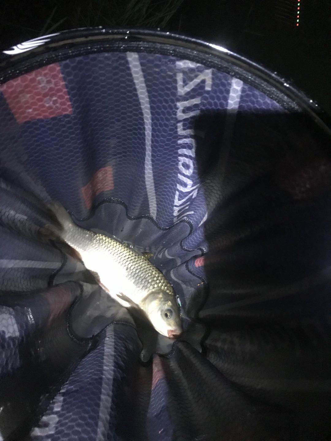 多日未冒泡,竟然掉了一个粉丝,打击来的突然