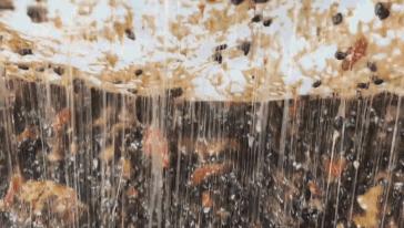 40岁却像20岁的少女，女明星的美竟是吃出来的