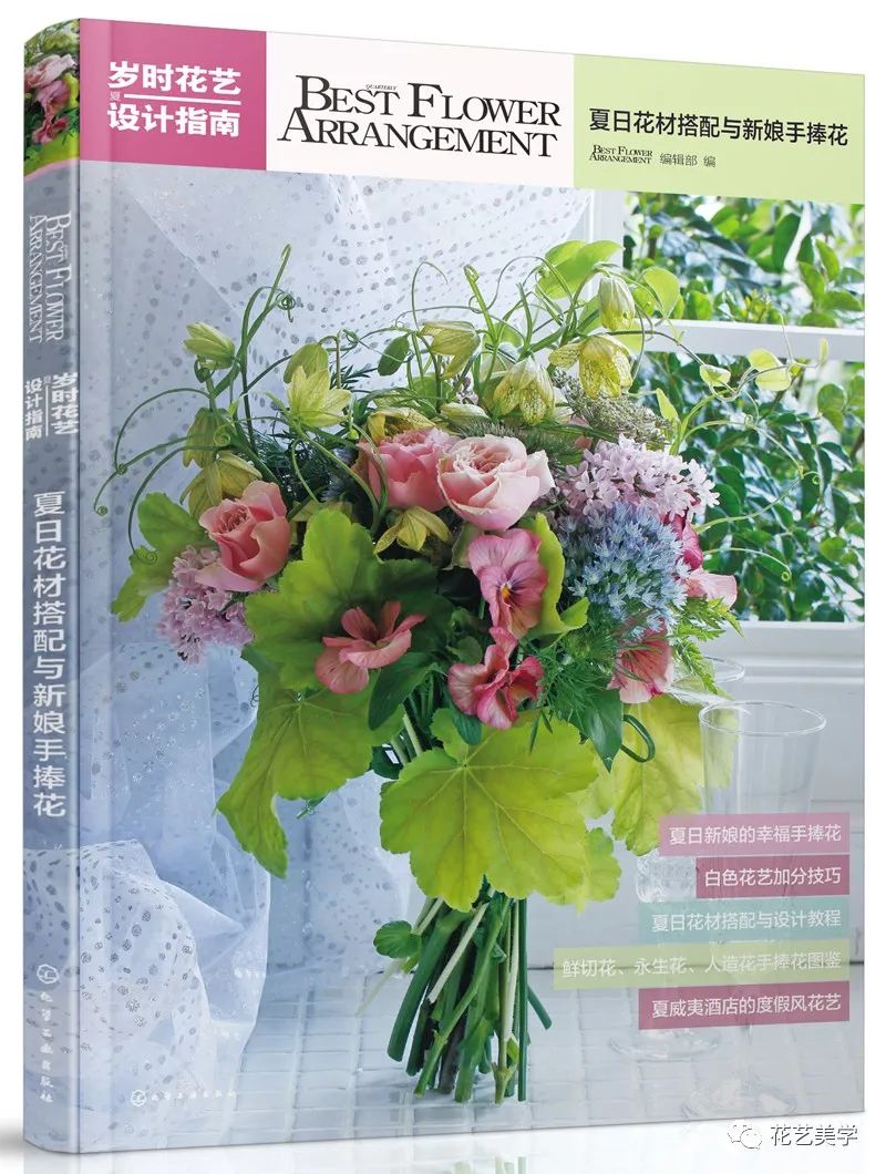 节日丨父亲节，除了向日葵还能送啥花