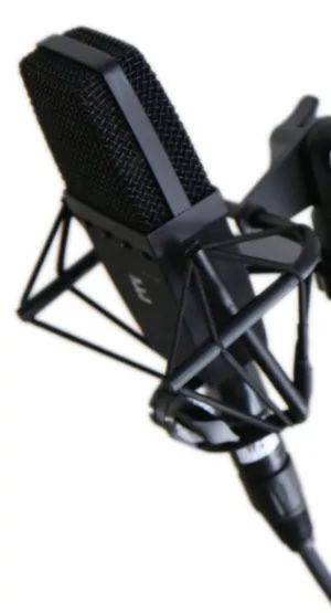 手持电容麦克风是大振膜吗,大振膜电容麦和大振膜麦克风区别