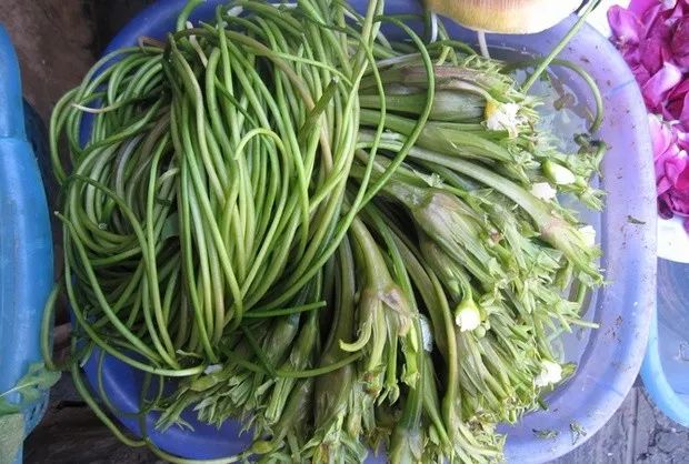 邛海景观,邛海风光令人醉