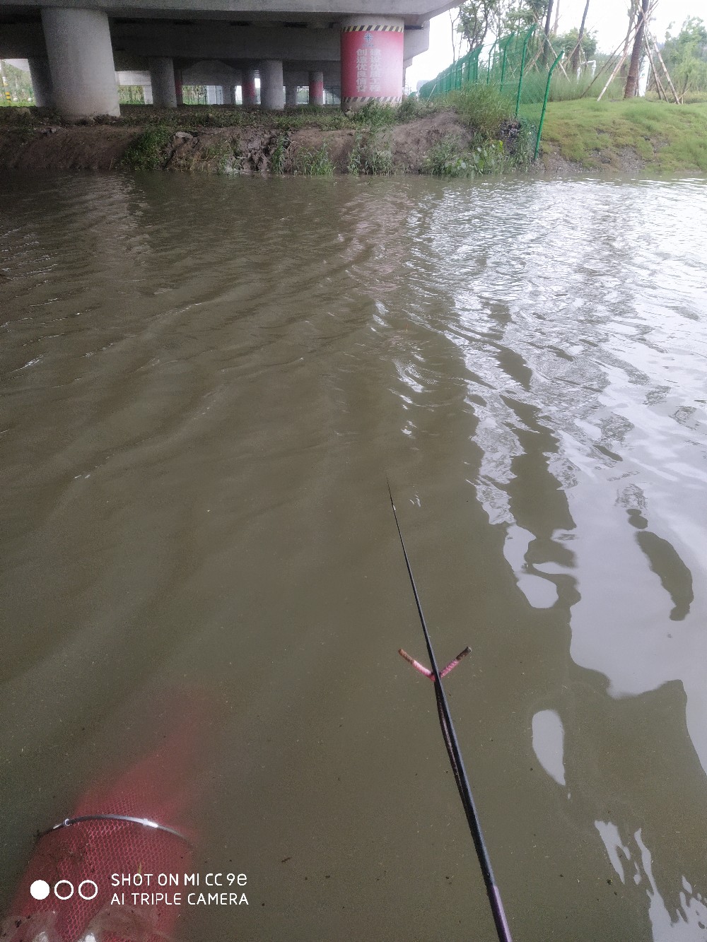 小鱼闹窝最佳处理方法,小鱼闹窝最简单的解决办法