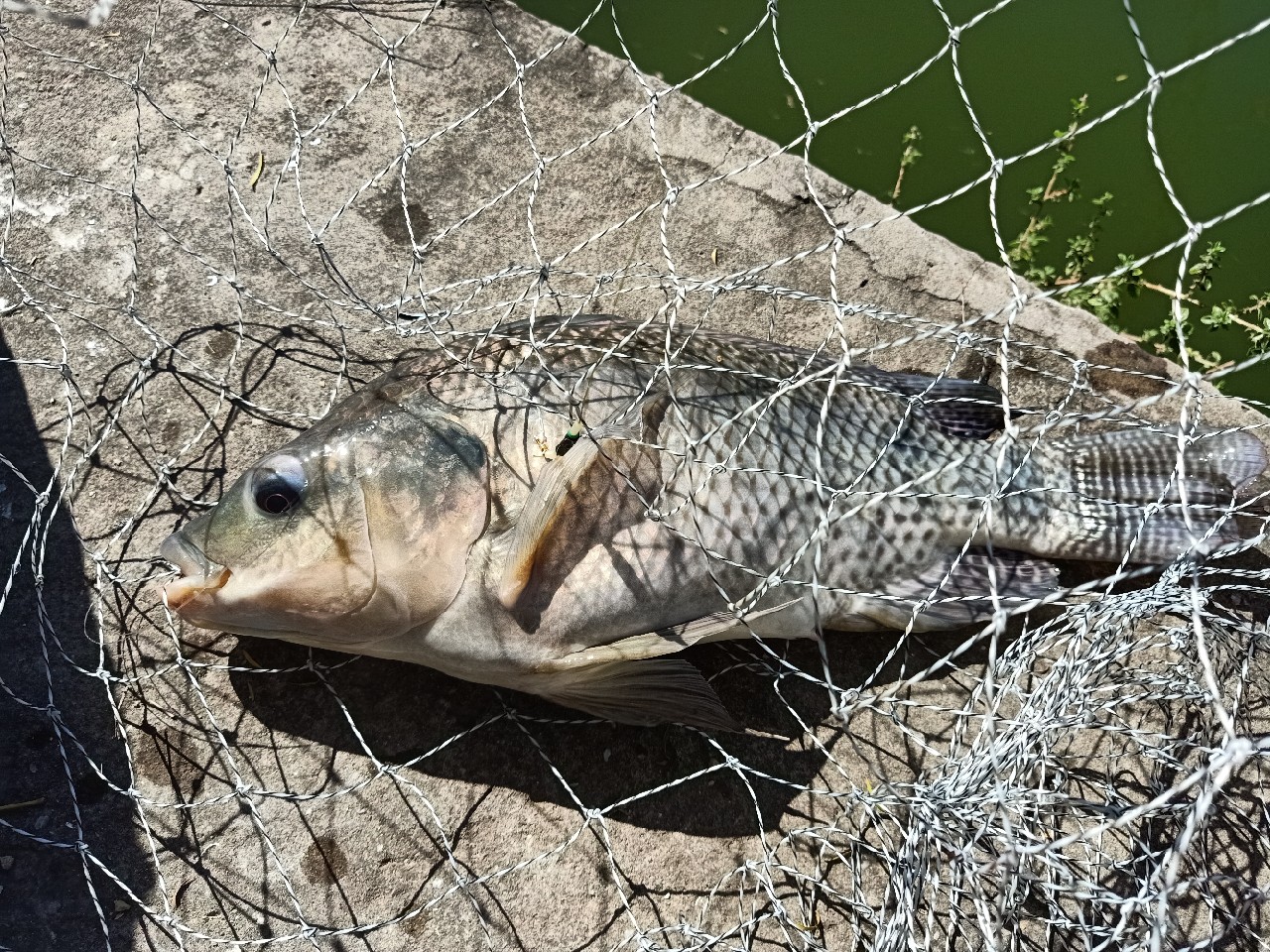开局即是巅峰第6集,开局即巅峰完整版
