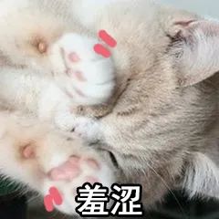 从零开始学花艺直播,从零开始学花艺全集