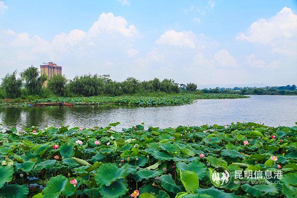 恒大养生谷昆明嘉丽泽规划,昆明嘉丽泽区养生谷