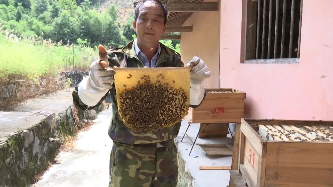 蜂农找蜂蜜销路,养蜂人蜂蜜滞销怎么办