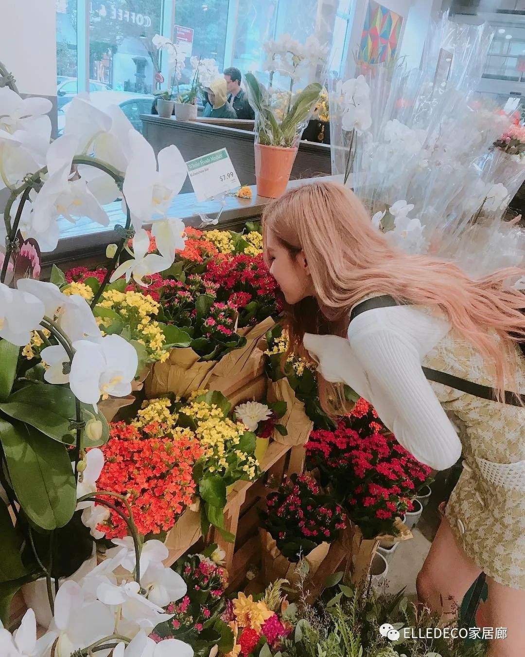 blackpink四小只各有各的风格,blackpink这次回归哪两位最亮眼