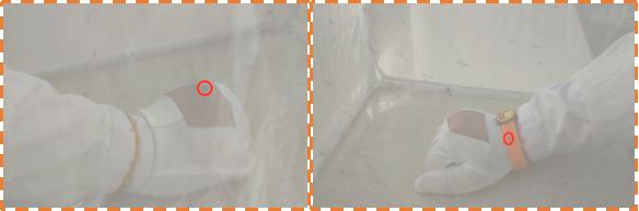 十大驱蚊神贴排行,驱蚊贴驱蚊环哪个效果好