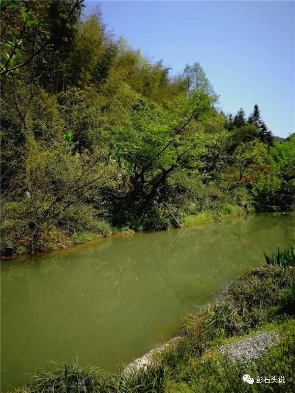 桃源走笔｜爰有乐土得我所