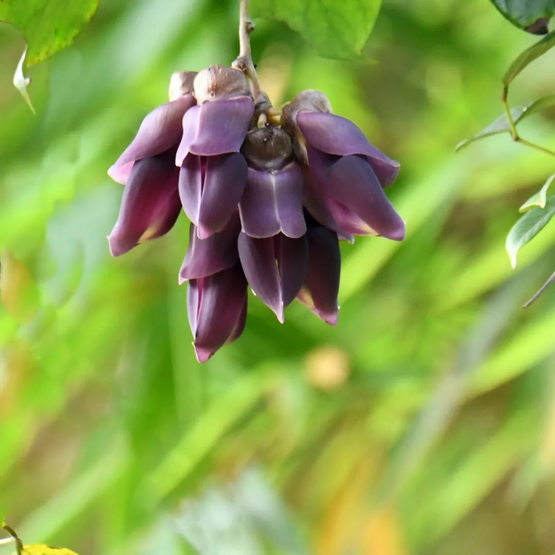 南宁附近最适合游泳避暑的地方,南宁夏天有哪些避暑的地方