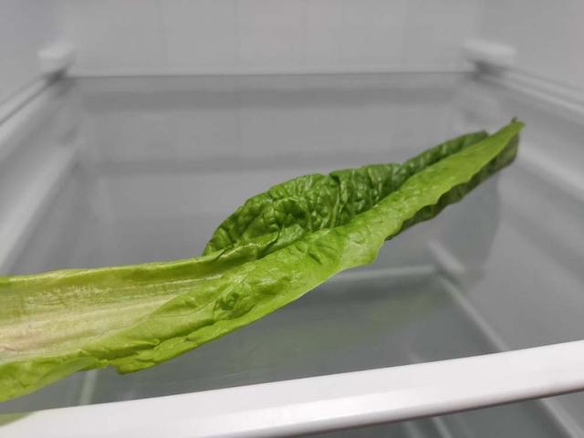 美的472升冰箱真实评测,美的519升冰箱功率大吗