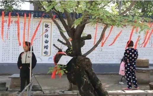 小城记忆朗诵,小城记忆邓丽君