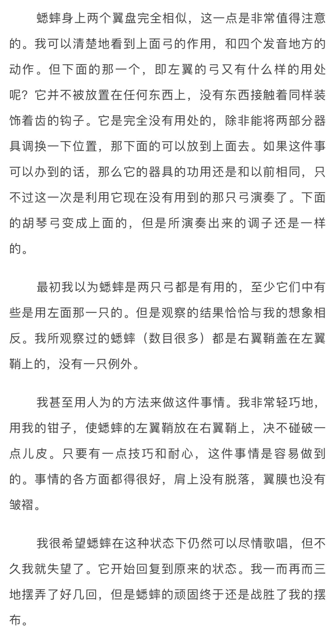 法布尔昆虫记意大利蟋蟀读后感悟,法布尔昆虫记蟋蟀篇