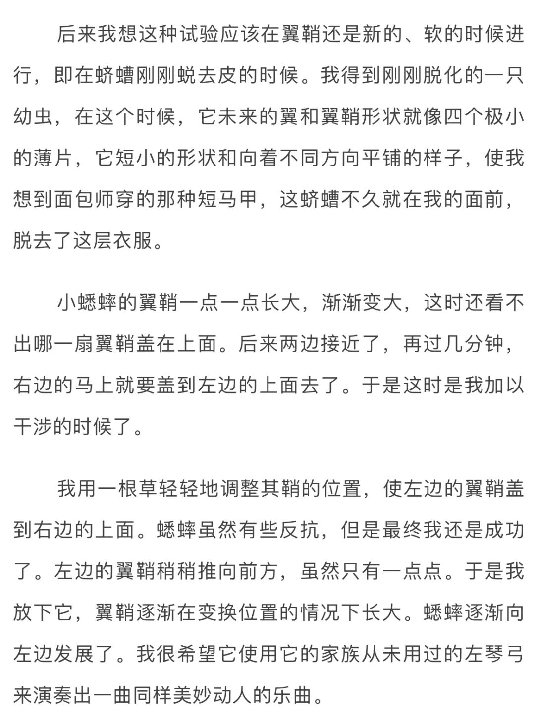 法布尔昆虫记之菜粉蝶的故事,夜话法布尔昆虫记