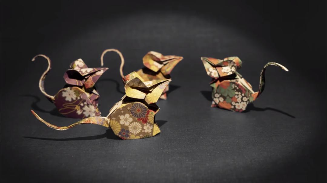 妥妥的知识宝藏！这位妈妈深扒B站，今年暑假学习资源不用愁了