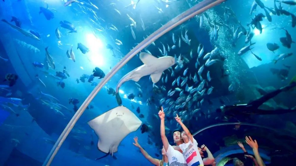 红红火火恍恍惚惚！加长版三伏天来了！沁凉碧海沙滩之旅约起