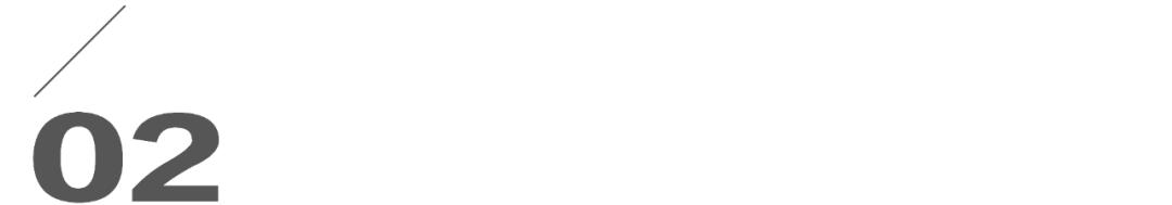 能打过萨摩耶的狗狗,能打过俄罗斯的国家有哪些