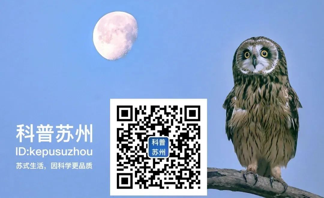 小龙坎地沟油事件违反了什么法律,小龙坎地沟油事件简介