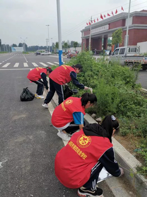 美化环境志愿者,美化校园志愿者