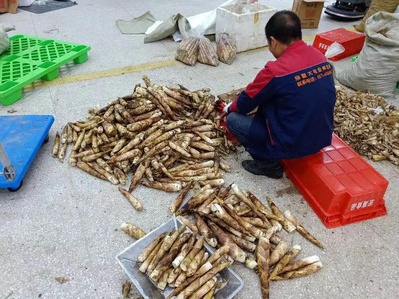 农产品直通车推广,农产品线上线下产销对接活动