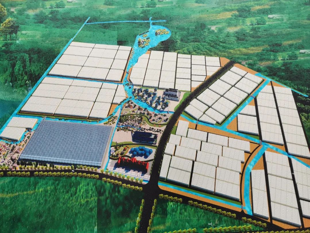 特色产业致富新模式,亿元创业好项目