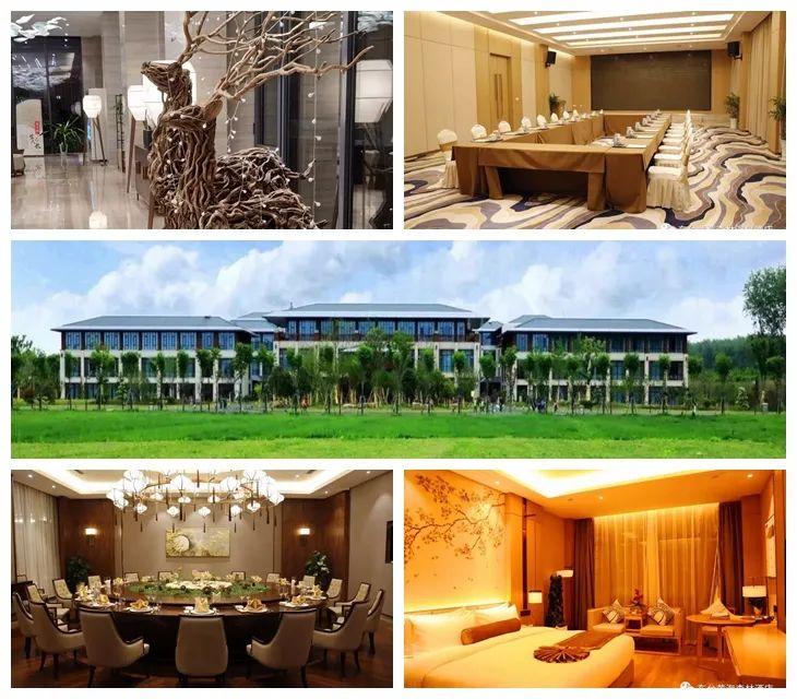 森林探险之旅的目的,神秘的雨林探险之旅