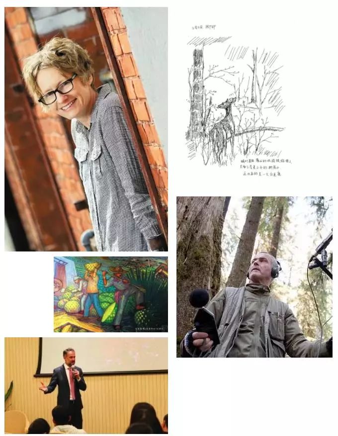 生命自然,自然文库的好书