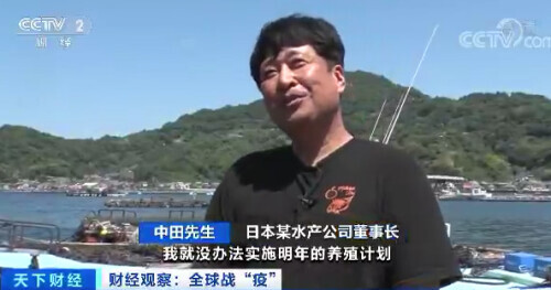 每公斤0.65元！这种日料店常见的鱼价格暴跌！吃货们急了