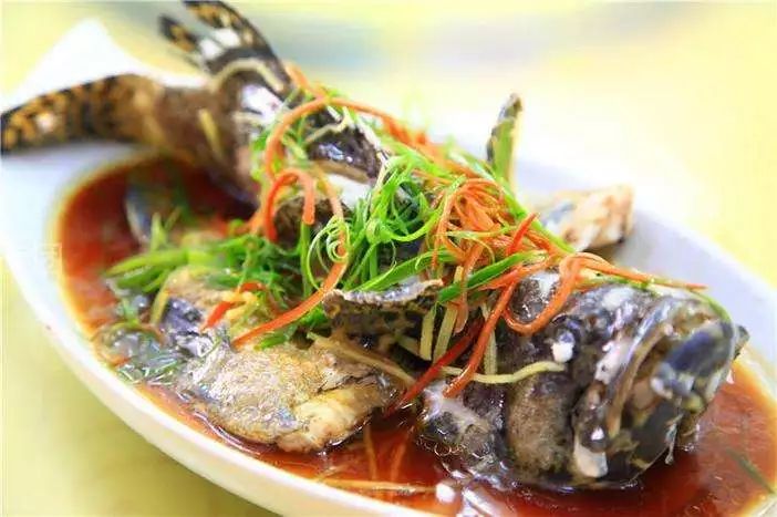 防城港哪里的海鲜便宜旅游攻略,沿海岸线走哪条旅游线最好