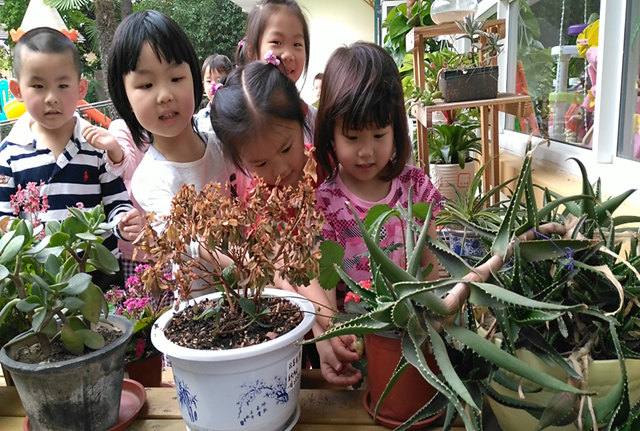 持续提升服务质量,持续提升教育培训质量