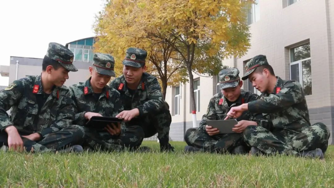 学历继续教育四种形式,学历继续教育怎么参加