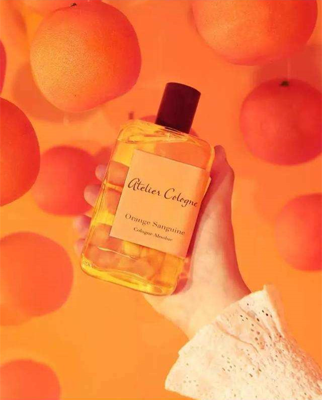 黄桷兰成都,成都黄桷兰多少钱