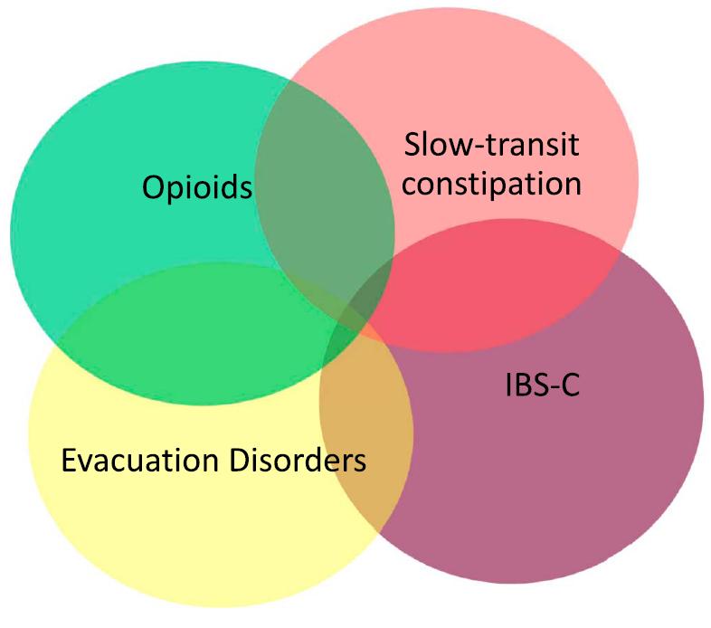 慢性非恶性疼痛,癌痛治疗常见阿片类代表药物