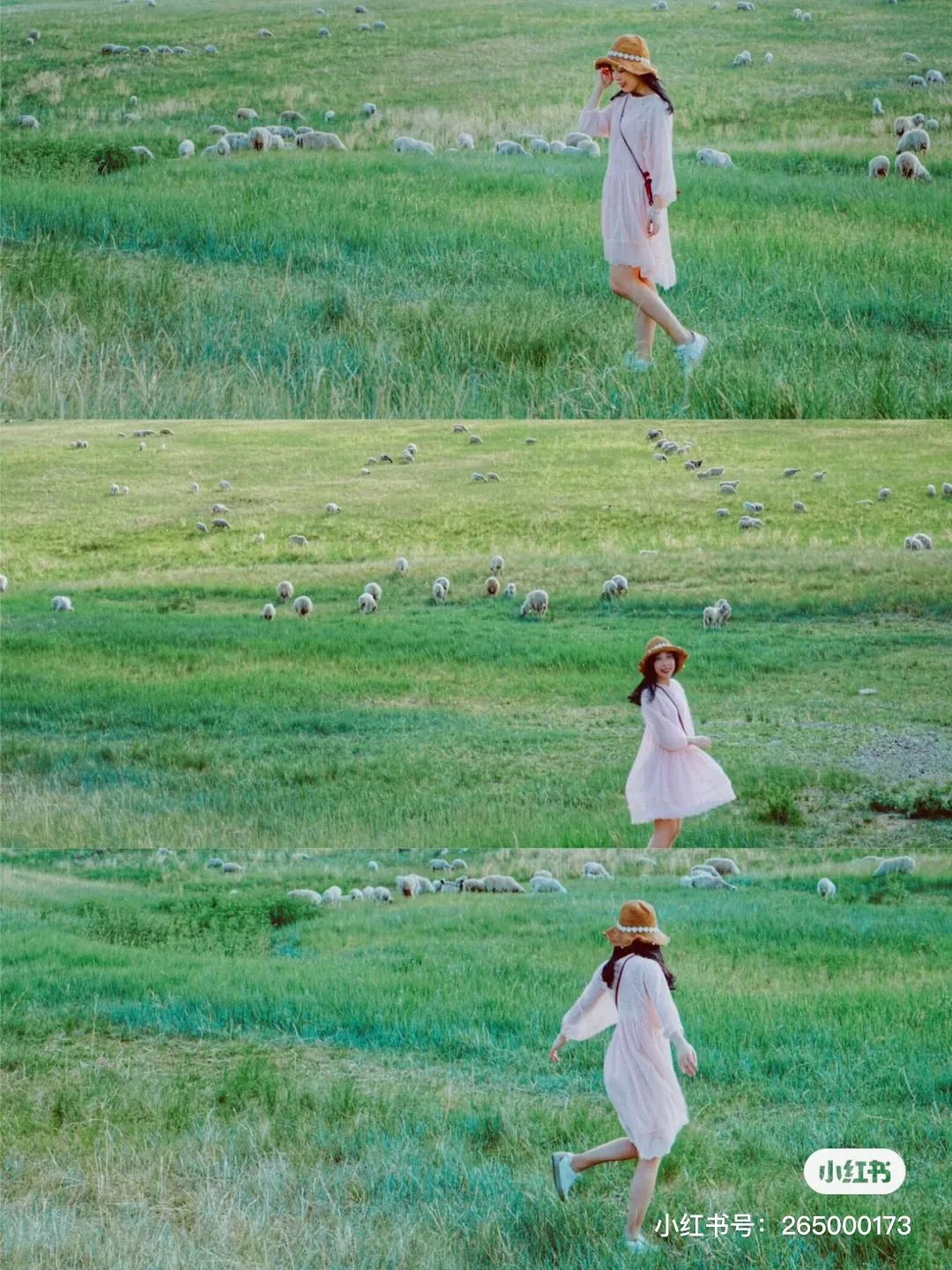 世界草原野奢帐篷酒店,为什么有人愿意住民宿