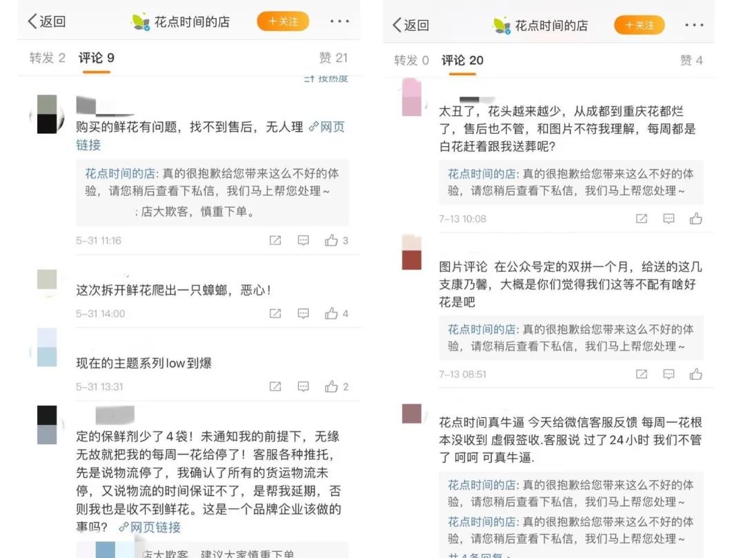 99包月的白菜价鲜花,你买过吗?