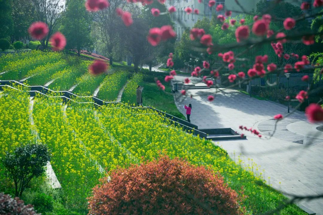 湖北医药学院有单招吗,湖北医药学院报名需要什么