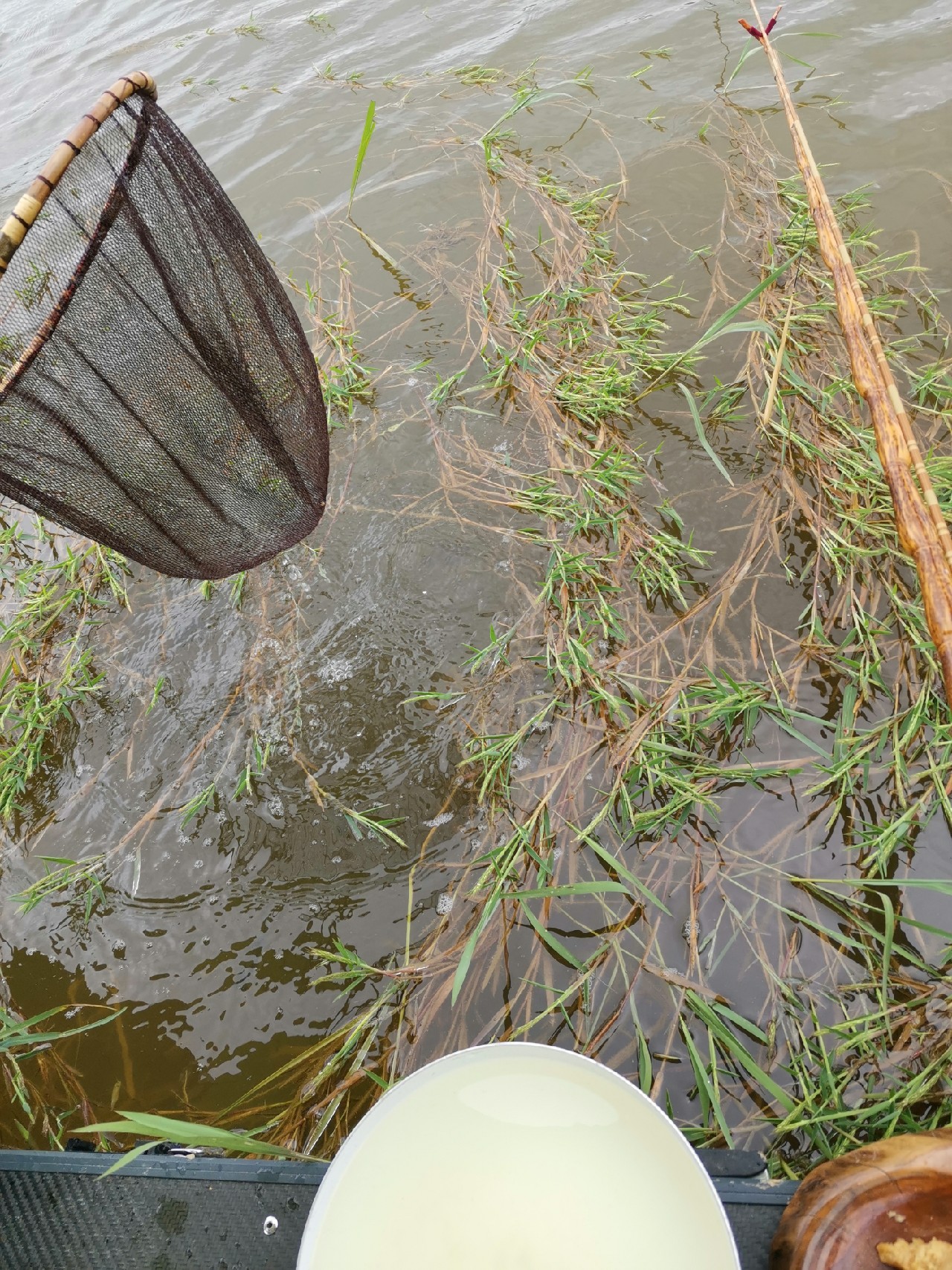 玩了多年的并继和碳素竿,总是在不断的折腾和寻找