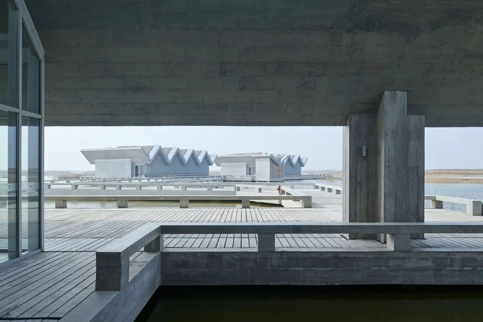 探索崇明东滩湿地公园的奥秘,崇明东滩湿地科研中心