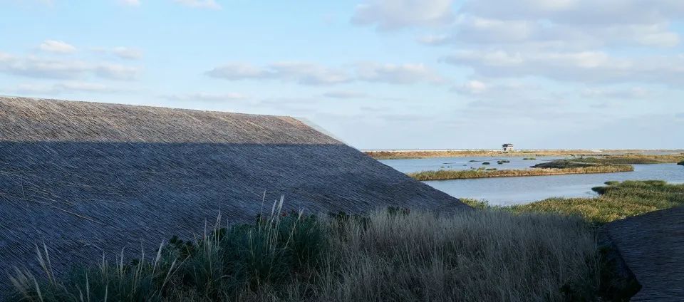 探索崇明东滩湿地公园的奥秘,崇明东滩湿地科研中心