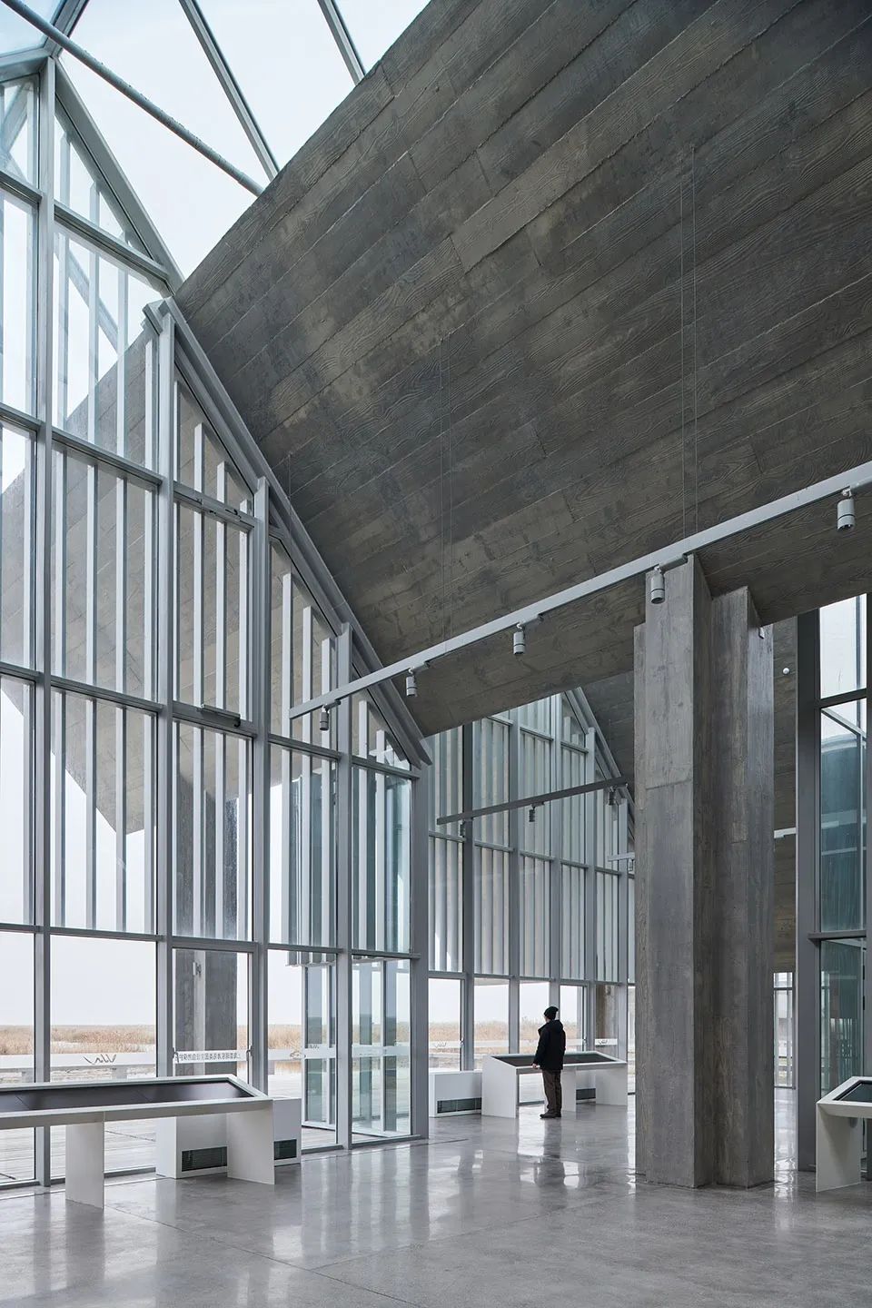 探索崇明东滩湿地公园的奥秘,崇明东滩湿地科研中心