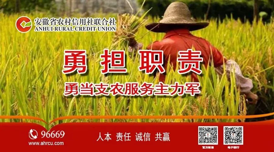 安徽农金续贷通知,安徽农金信贷年化率多少