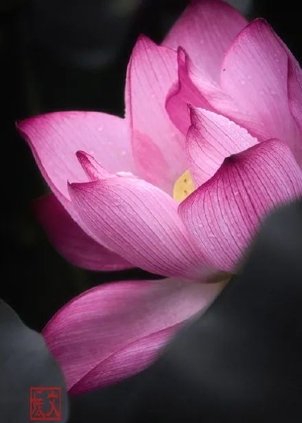 福州市节假日免费乘公交地铁,福州地铁公交周末节假日免费坐