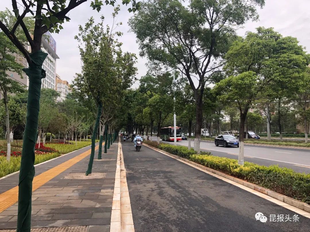 “进度条”来啦！昆明62条道路8月底前完成整治