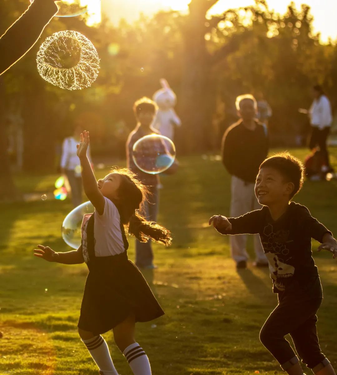 来松江哪里好玩,上海郊区幸福感