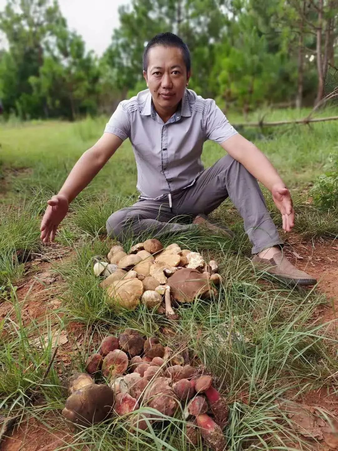 石屏龙韵养生谷干巴菌,云南石屏龙朋干巴菌节