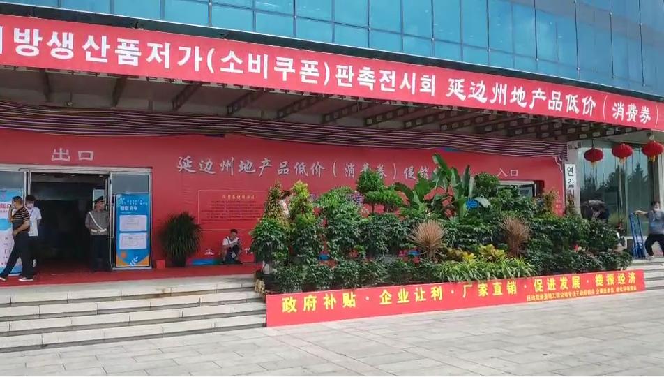 寤惰竟宸炲彂鏀炬秷璐瑰埜,寤惰竟宸炴秷璐瑰埜淇冮攢