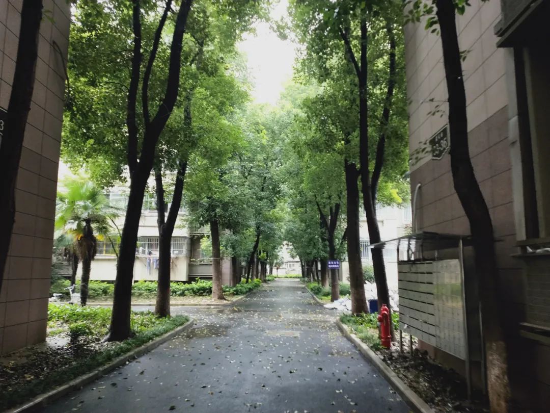 福州鼓楼小学学区房哪个性价比高,南京鼓楼学区房2004年房价